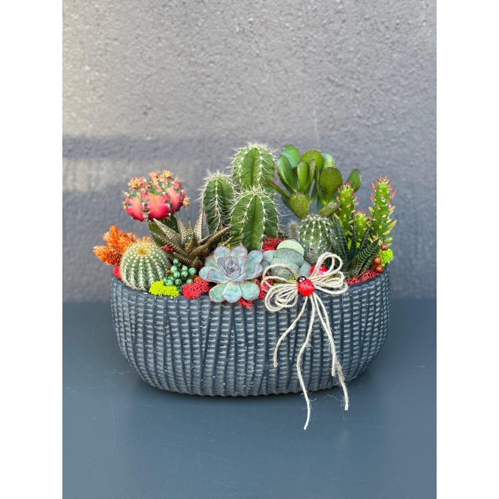 ÖZEL CANLI TERARYUM